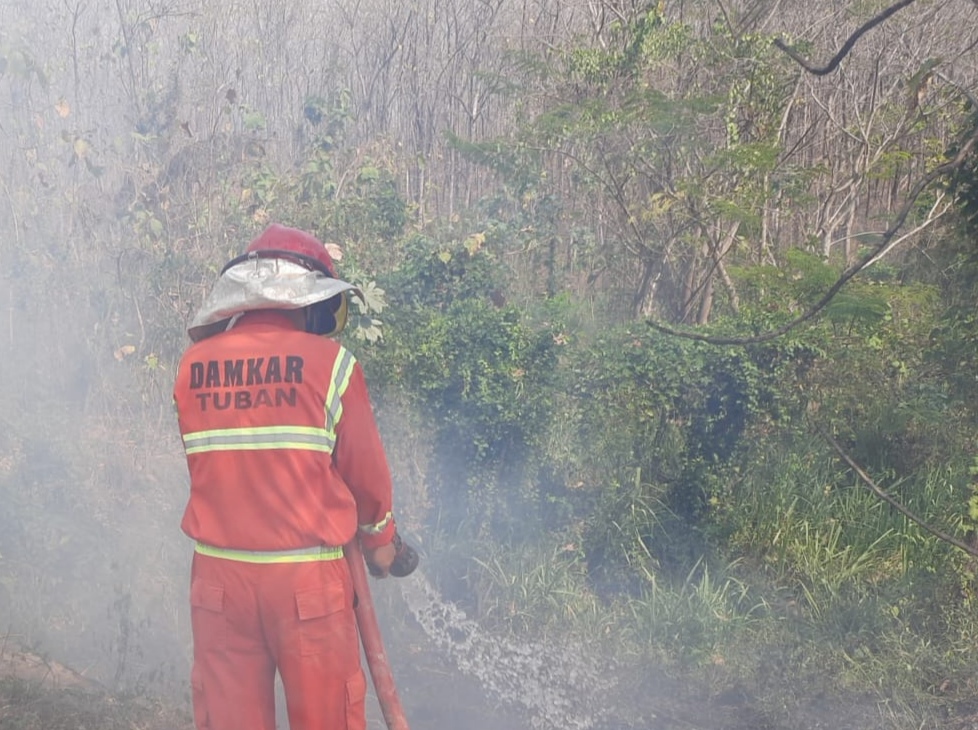 Kebakaran Tumpukan Sampah di Alas Pakah Tuban, Tim Pemadam Temukan Solar di Lokasi