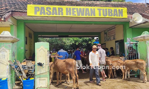 Kasus PMK Melonjak, Pasar Hewan di Tuban Tutup 21 Hari