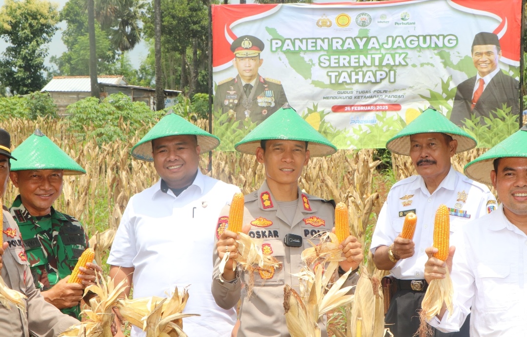 Kapolres Tuban Pimpin Panen Jagung Perdana, Begini Dampaknya bagi Petani!
