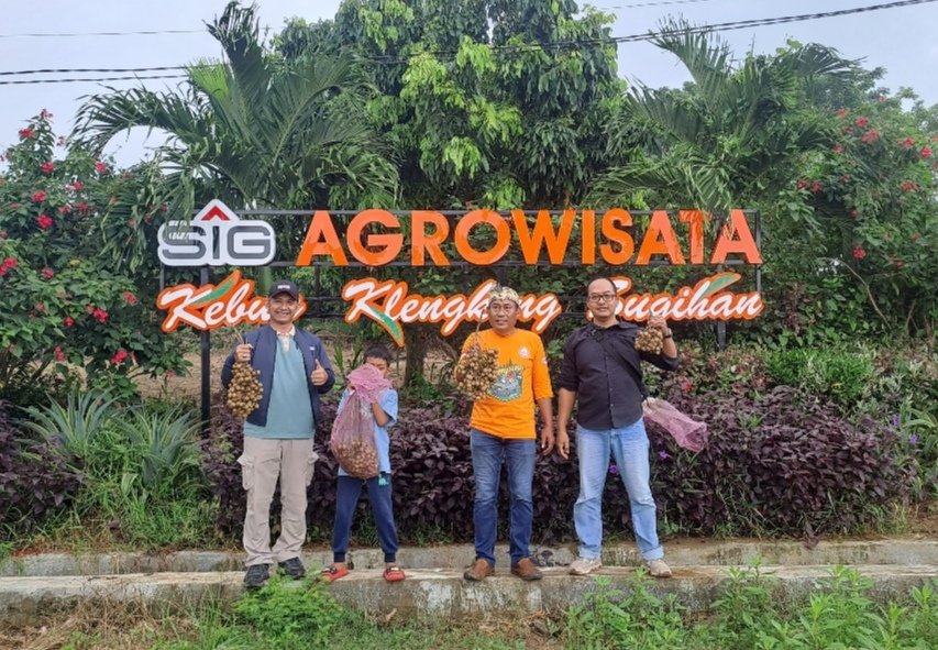 Pecinta Mobil dan Jurnalis RPS Serbu Agro Klengkeng Sugihan Tuban, Petik Buah Langsung dari Pohon