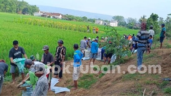 Tanggulangi Banjir, Warga Soko Tuban Berswadaya Perbaiki Tanggul 