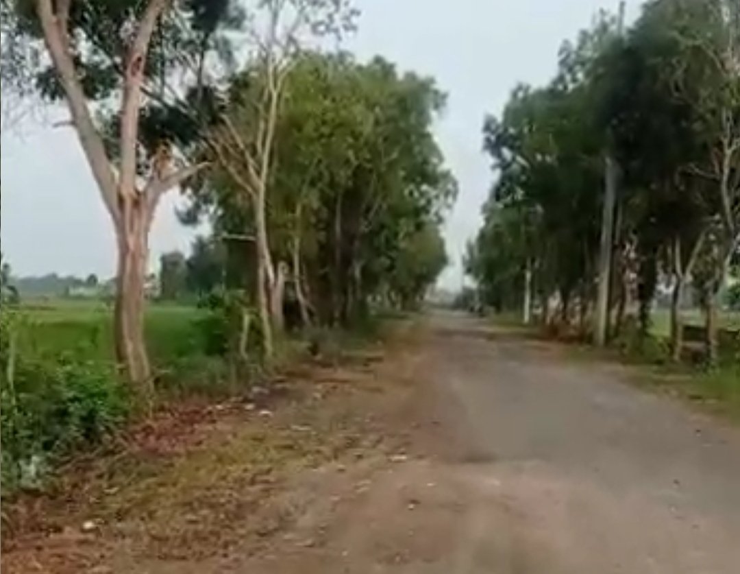 Cuaca Ekstrem di Tuban, Bojonegoro, dan Lamongan: Petir dan Angin Kencang