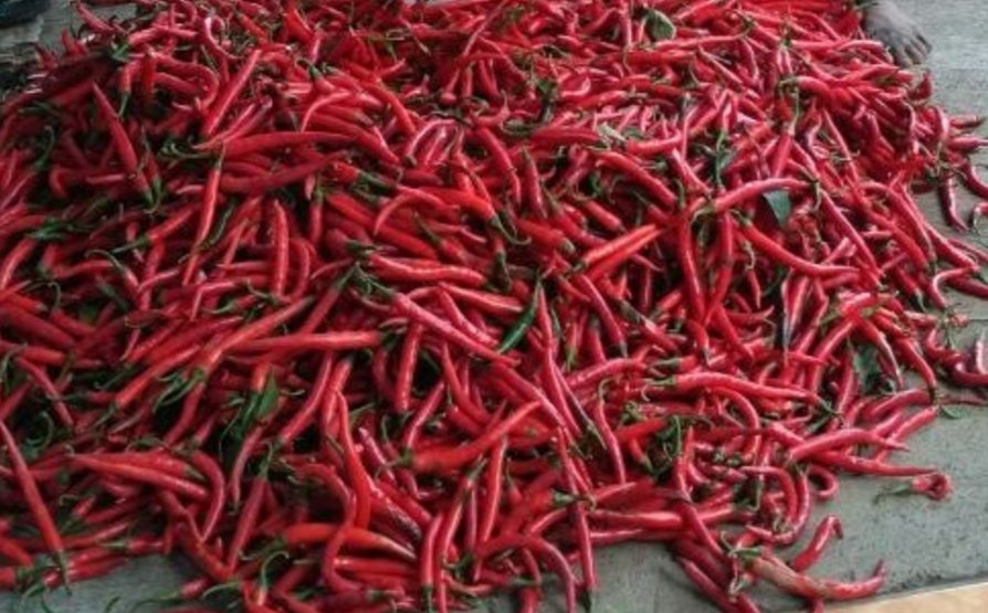 Harga Cabai Merah Naik, Bawang Putih Turun di Pasar Baru Tuban
