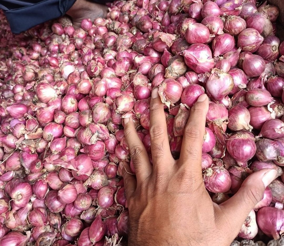 Bawang Merah Naik Signifikan, Tuban Catat Kenaikan Harga Beragam Komoditas