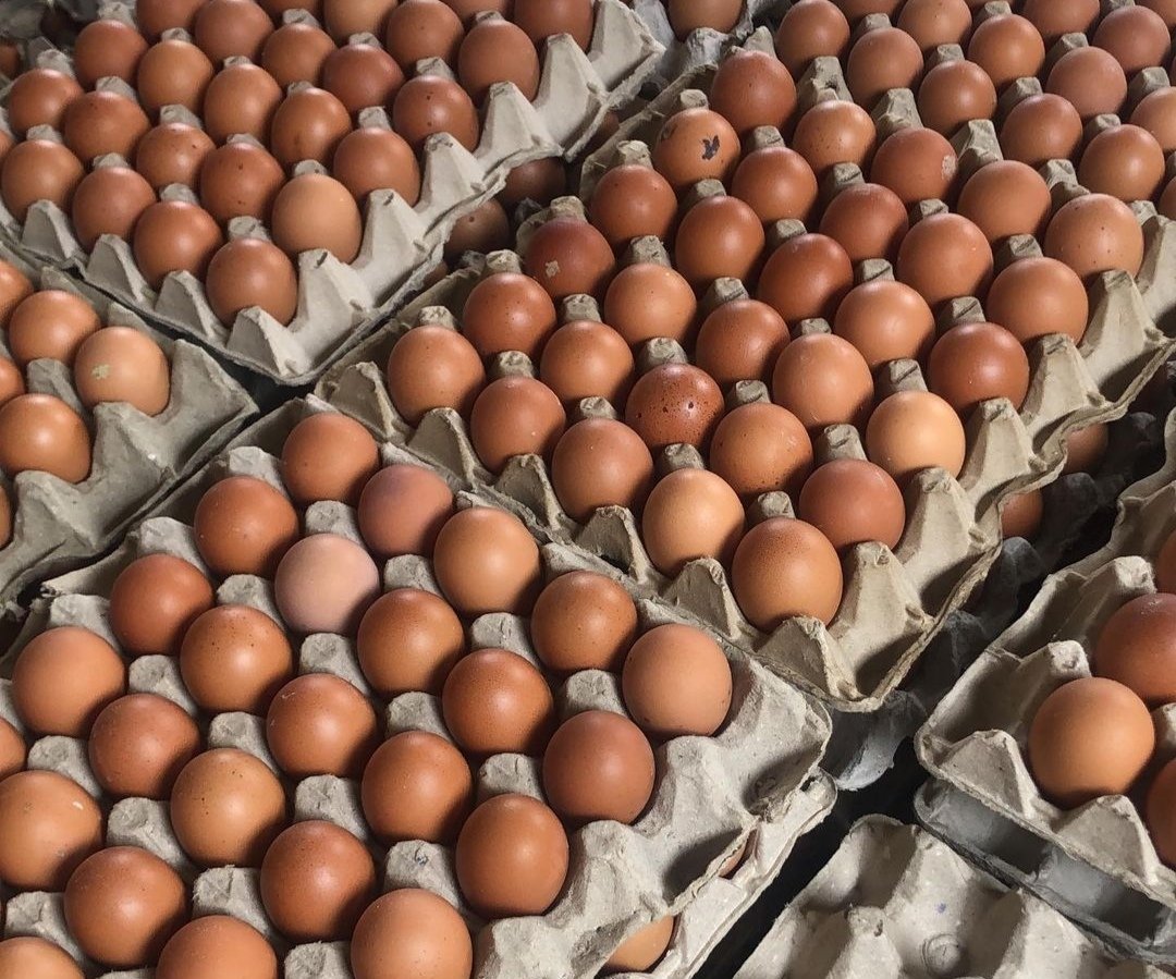 Harga Telur Ayam Ras Turun, Cabai Naik di Tuban
