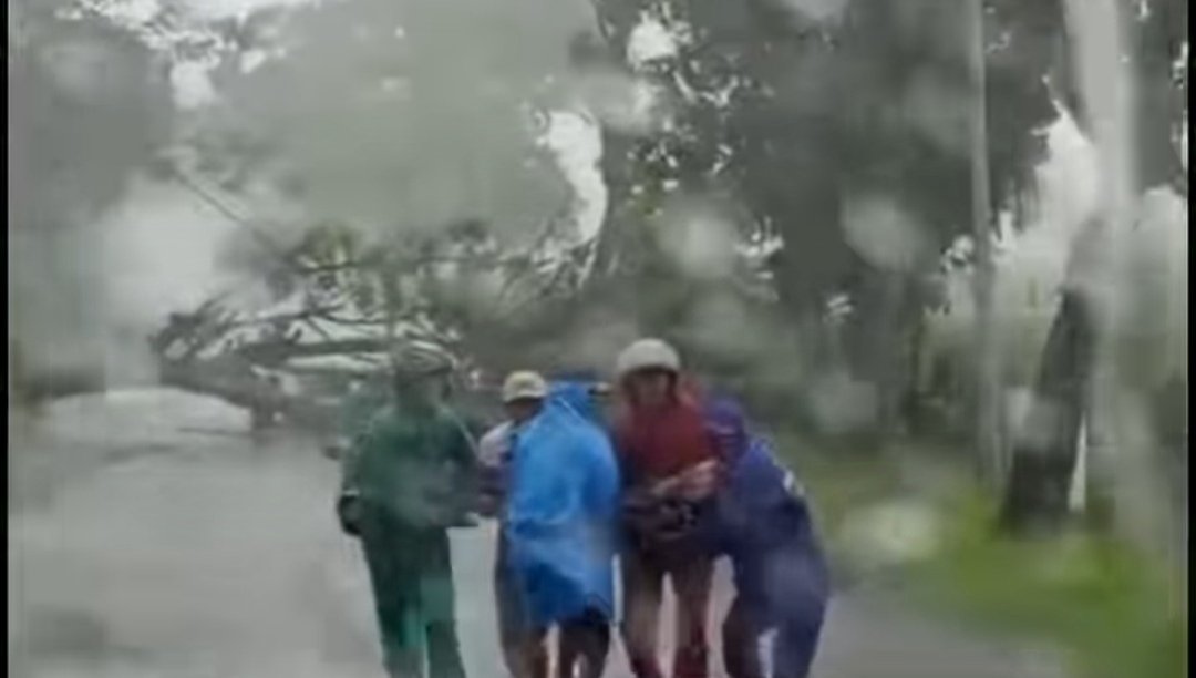 Korban Pohon Tumbang di Tuban Bertambah, Kabarnya Patah Tulang