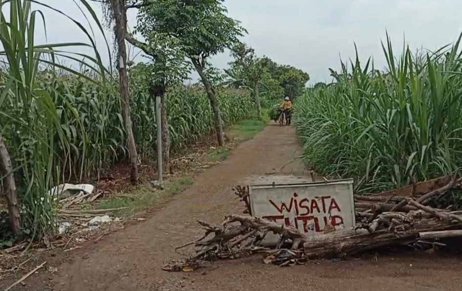 Pantai Sumur Pawon Tuban Ditutup, Pemicunya Konflik Pengurus dan Kasus Pencurian Sapi